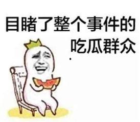 带你吃瓜早期驯服日常,早期驯服日常揭秘