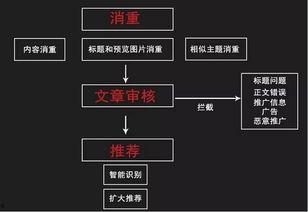 头条号的核心是什么内容,揭秘热门内容背后的创作秘诀