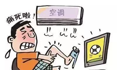 除了吃瓜还可以适当吃参,健康饮食新选择