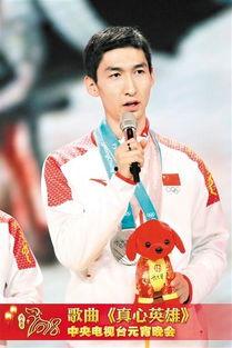 网红真心英雄多吗,真心英雄的崛起与挑战