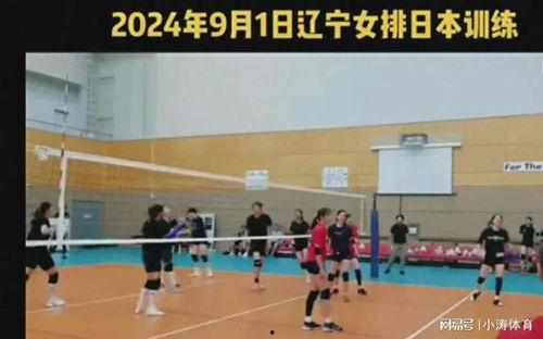 辽宁女排爆料最新消息今天,揭秘今日赛场风云变幻