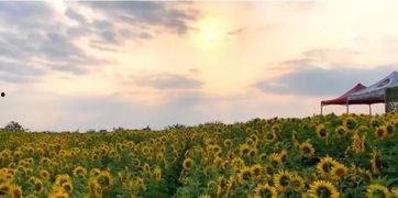 德化水口网红打卡地