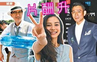 明星最新报道,揭秘私生活与事业新篇章