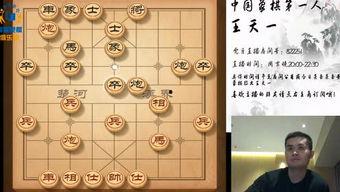 会象棋的明星,象棋高手们的传奇人生”