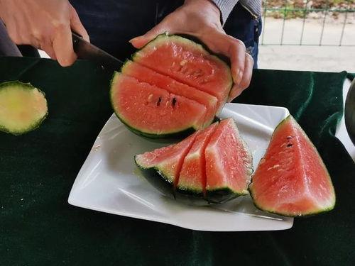 庄庄吃瓜,揭秘娱乐圈幕后故事