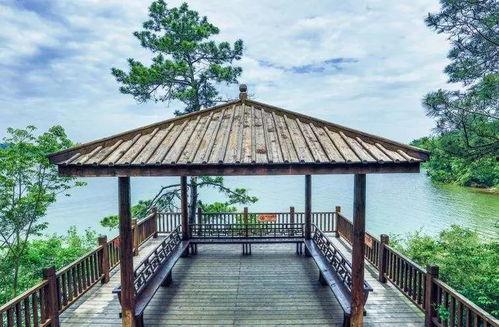 溧阳埭头网红景点门票,网红景点门票背后的魅力之旅