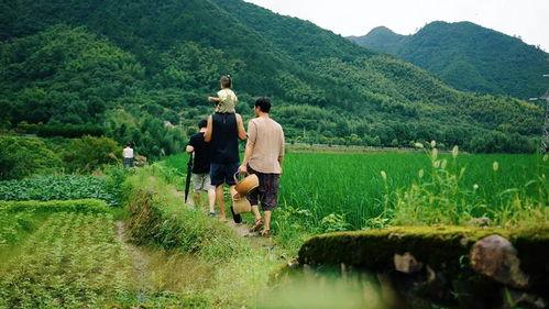 网红小庄生活取景地
