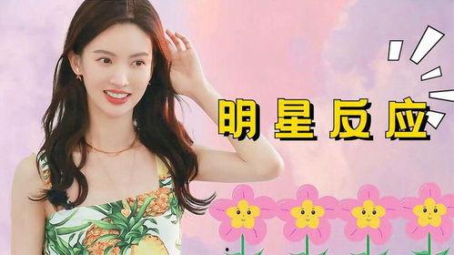 娱乐人气明星榜,人气明星榜盘点