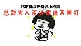 吃瓜的总裁夫人,一场吃瓜与爱情的甜蜜邂逅