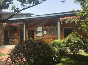 网红田园风格小桥